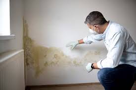 Reliable Morro Bay, CA Mold Inspection Solutions